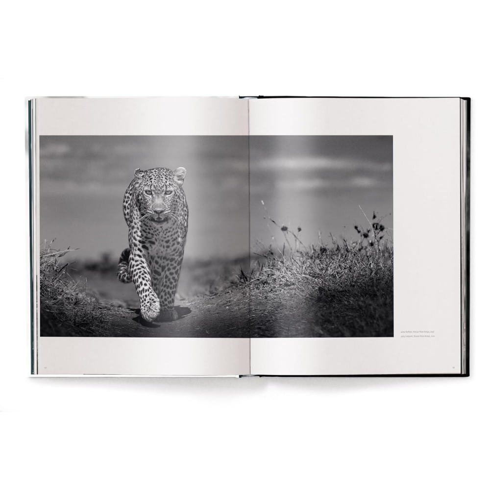 Книга на английском языке "Beusker. Look into my Eyes" HB, Lars Beusker - 2