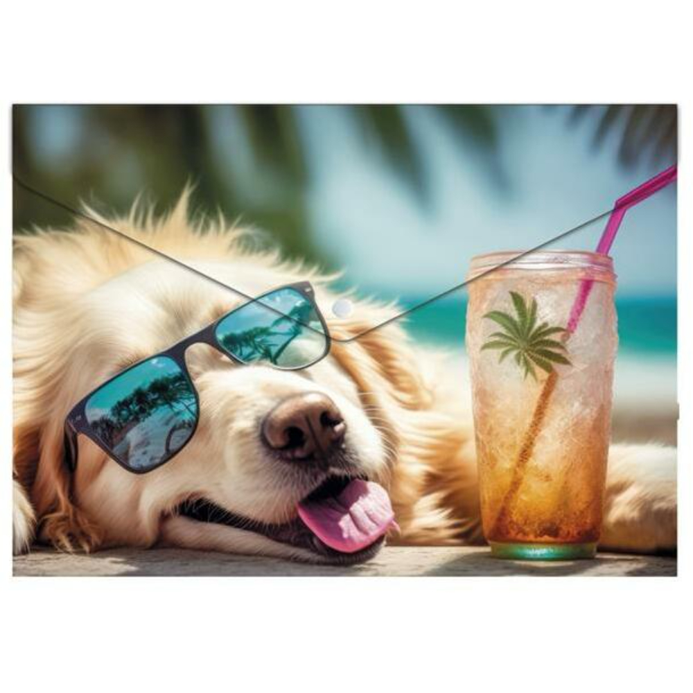 Папка-конверт на кнопке "Chillout dog", А5, разноцветный