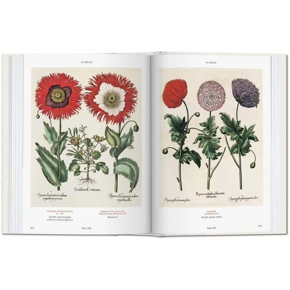 Книга на английском языке  "Florilegium. The Book of Plants. Garden at Eichstatt"  - 3