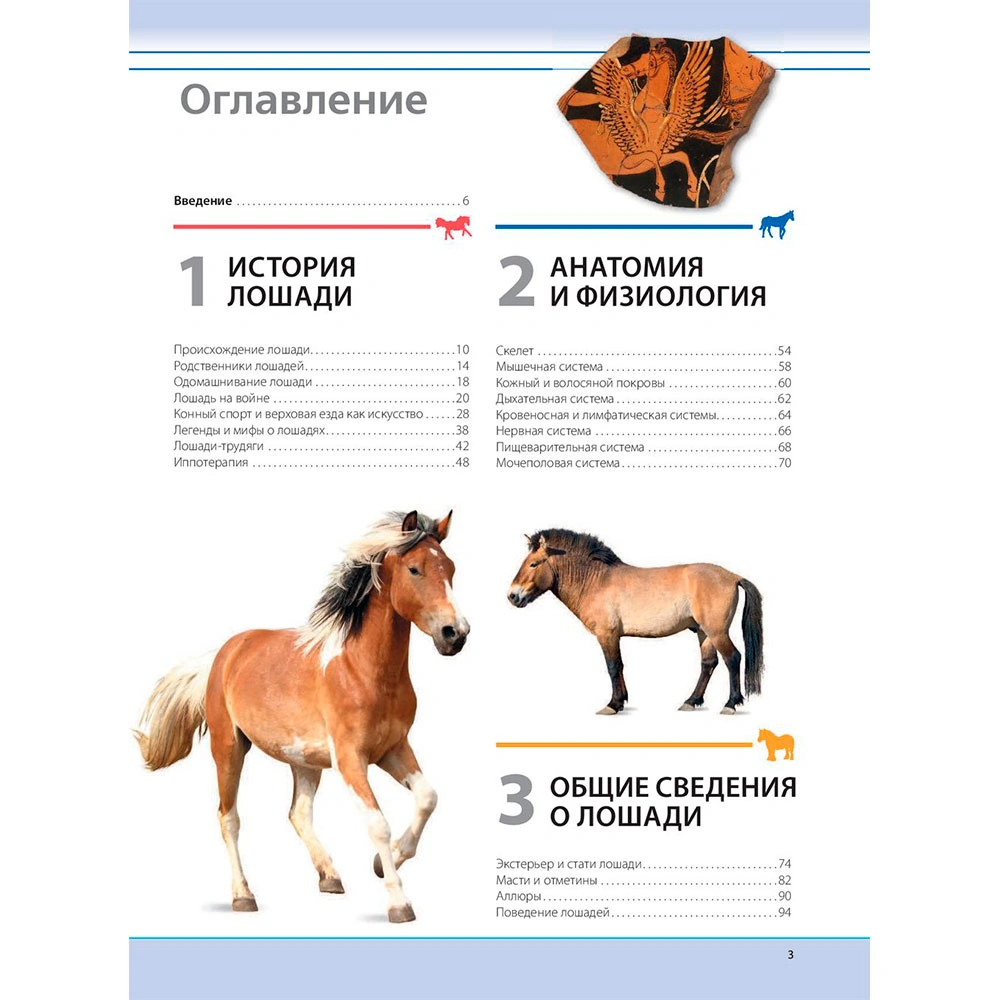 Книга "Лошади. Самая полная иллюстрированная энциклопедия", Зимина Г. - 2