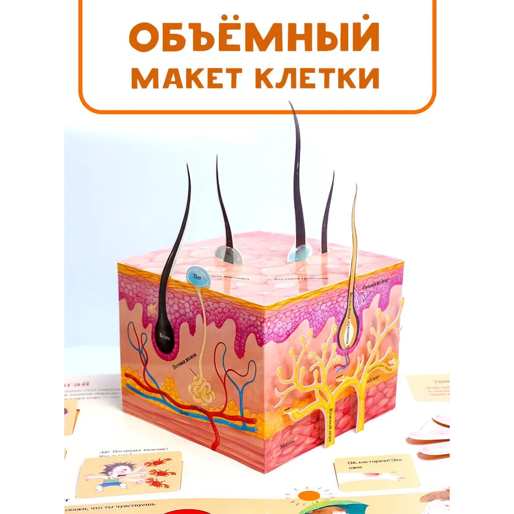 Книга "Все секреты человека", Марина Сушкова - 6