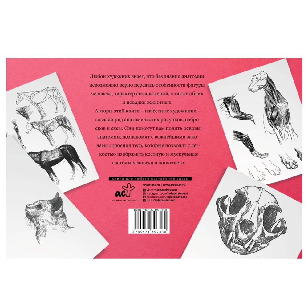 Книга "Анатомия для художников. Альбом для скетчинга" - 2