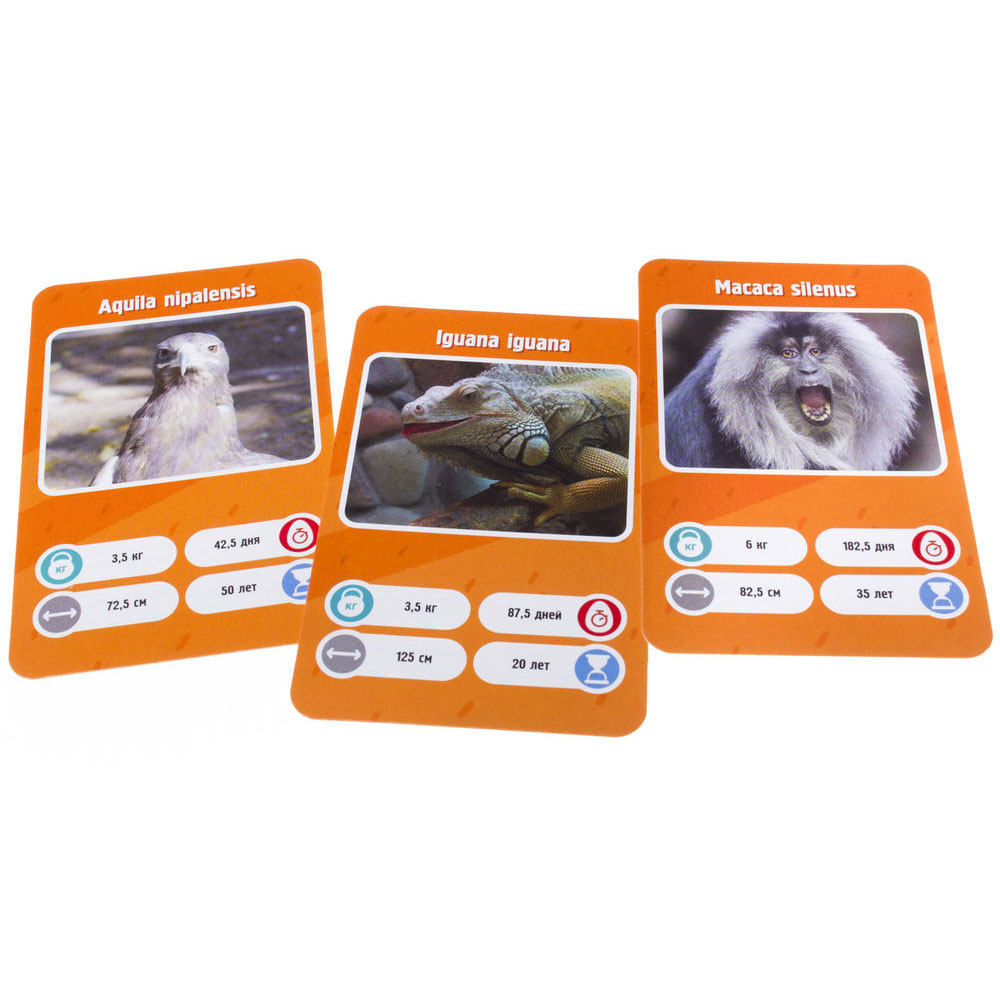 Игра настольная "Это факт! Зоопарк" - 5