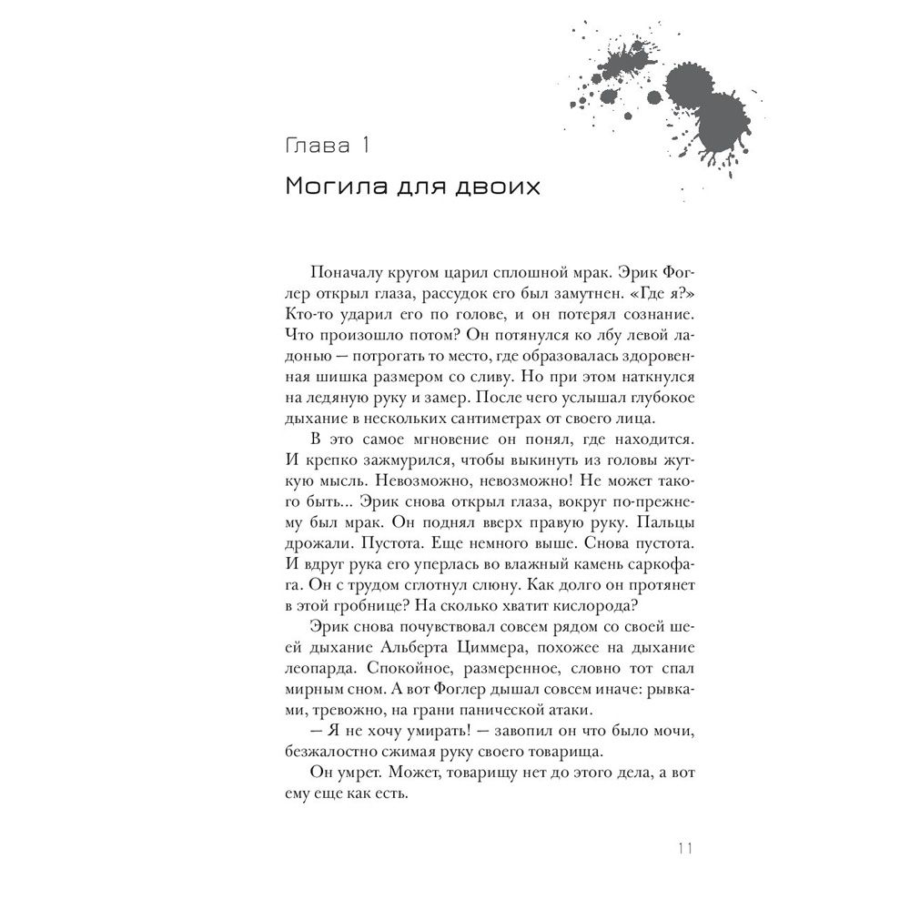 Книга "Эрик Фоглер и проклятие замка Мисти", Беатрис Осес - 4