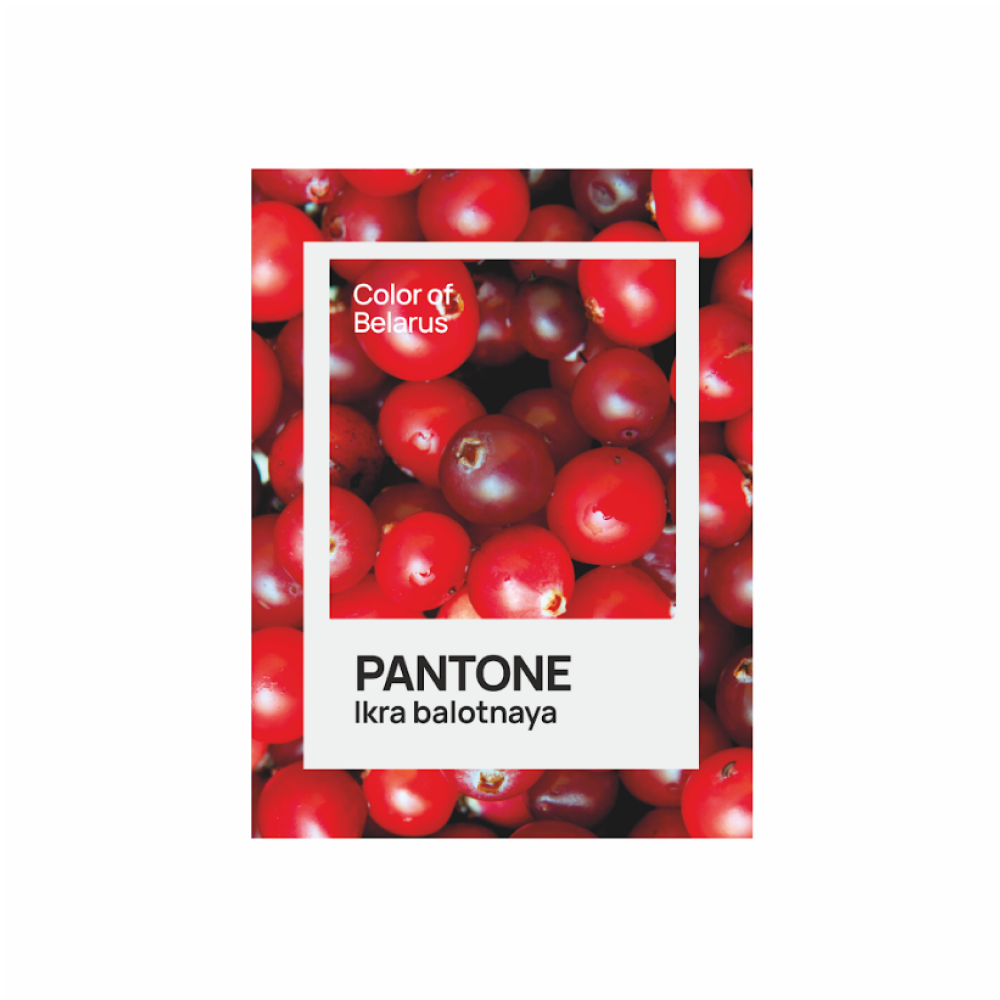 Блокнот «Color of Belarus. Pantone Ikra balotnaya», А5, 128 листов, в точку, белый, зеленый - 2