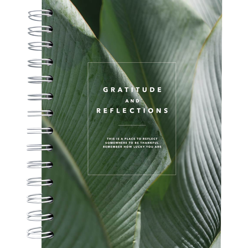 Тетрадь "Botanica пальма", А5, 120 листов, в точку, твердый переплет, спираль, разноцветный