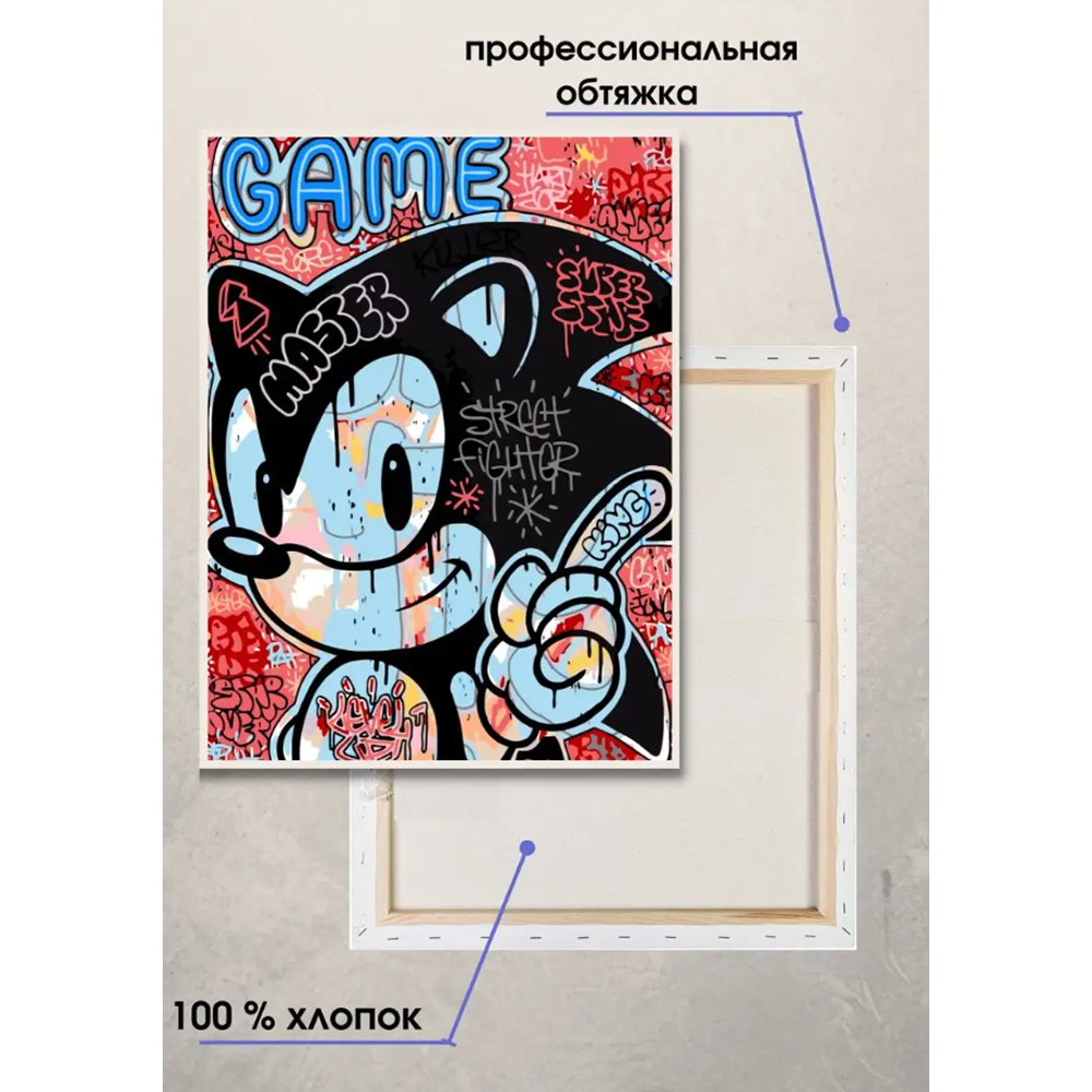 Картина по номерам "Соник Граффити" - 2