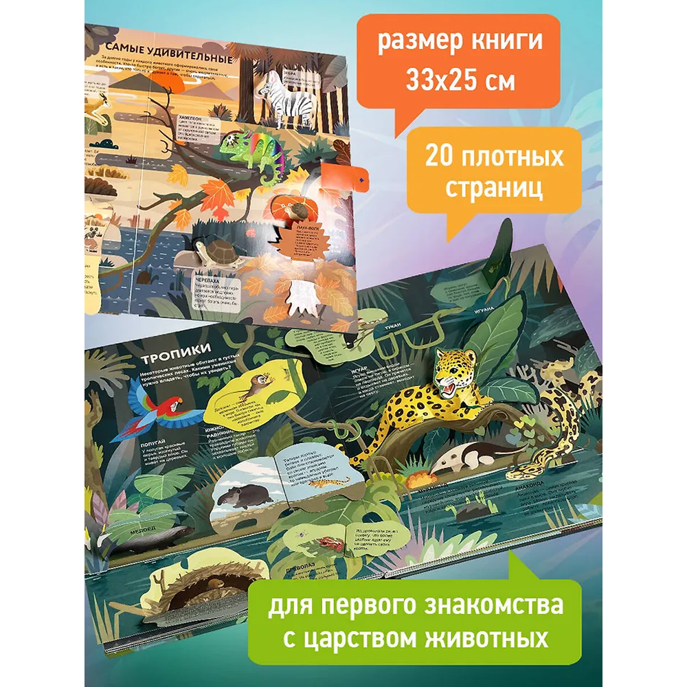 Книга "Удивительные животные" - 5