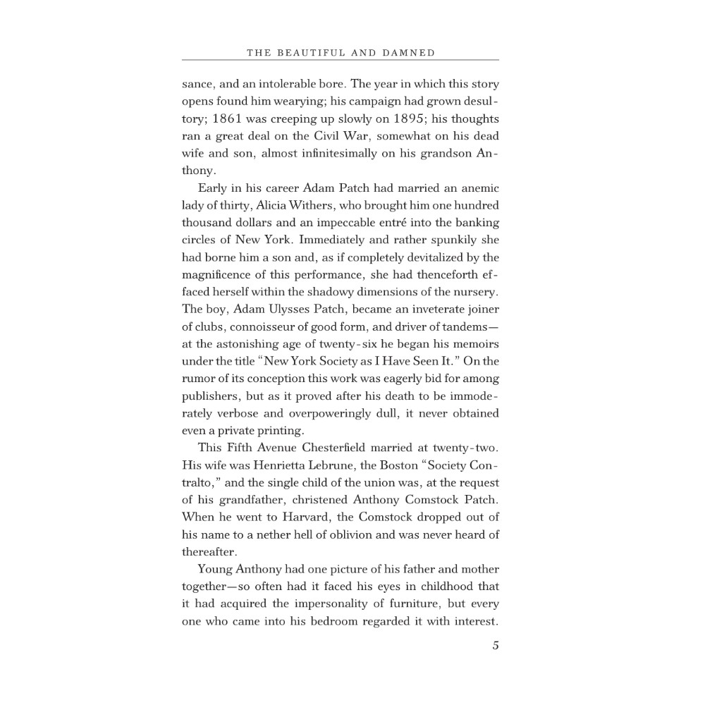 Книга на английском языке "The Beautiful and Damned", Фрэнсис Скотт Фицджеральд - 4