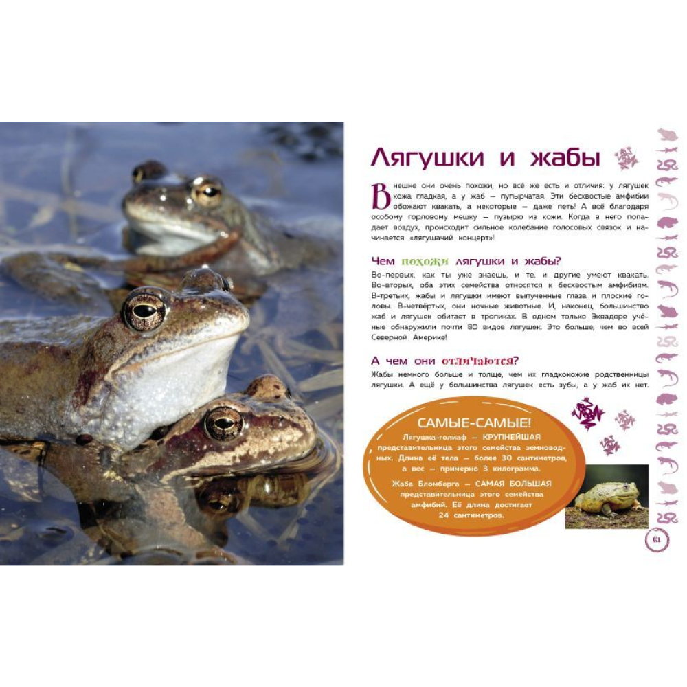 Книга "Животные. Большая детская энциклопедия" - 5