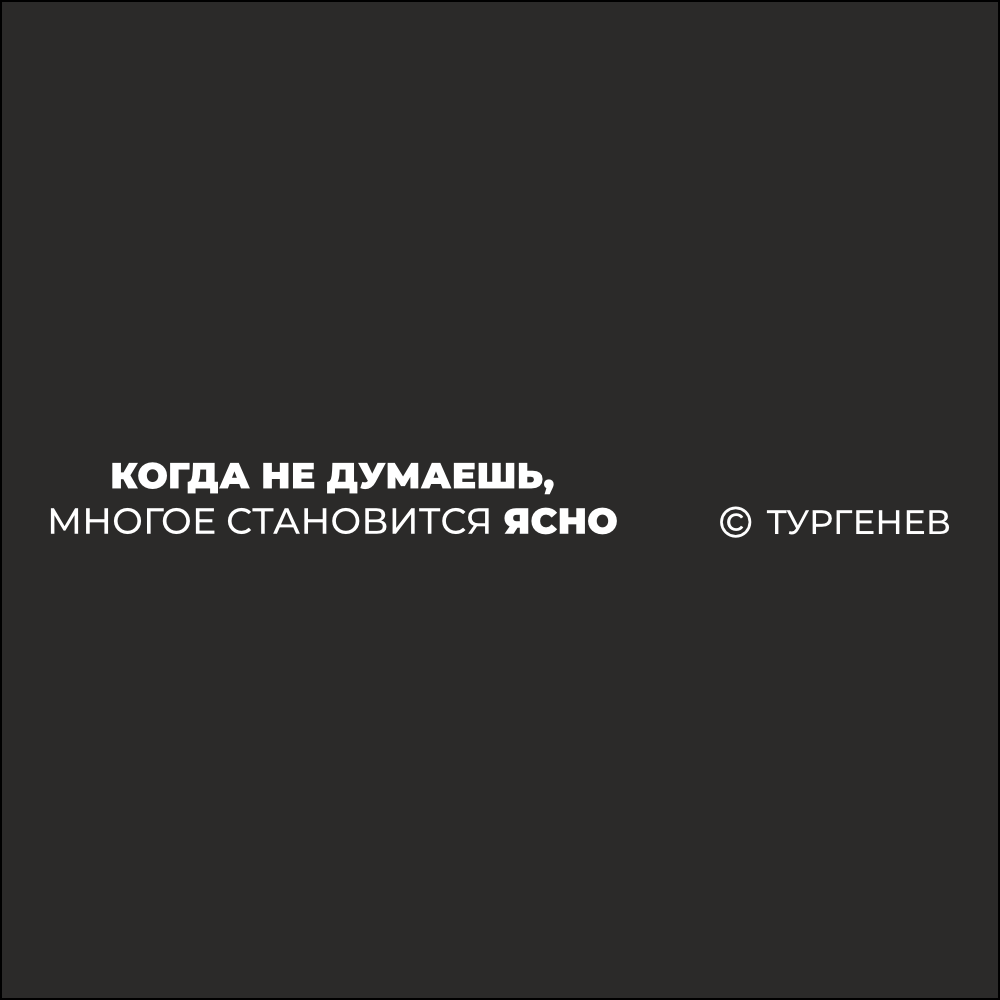 Ручка шариковая автоматическая "Когда не думаешь, многое становится ясно. Тургенев" 1.0 мм, черный, стерж. синий - 2