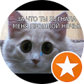 Лариса Брайчук