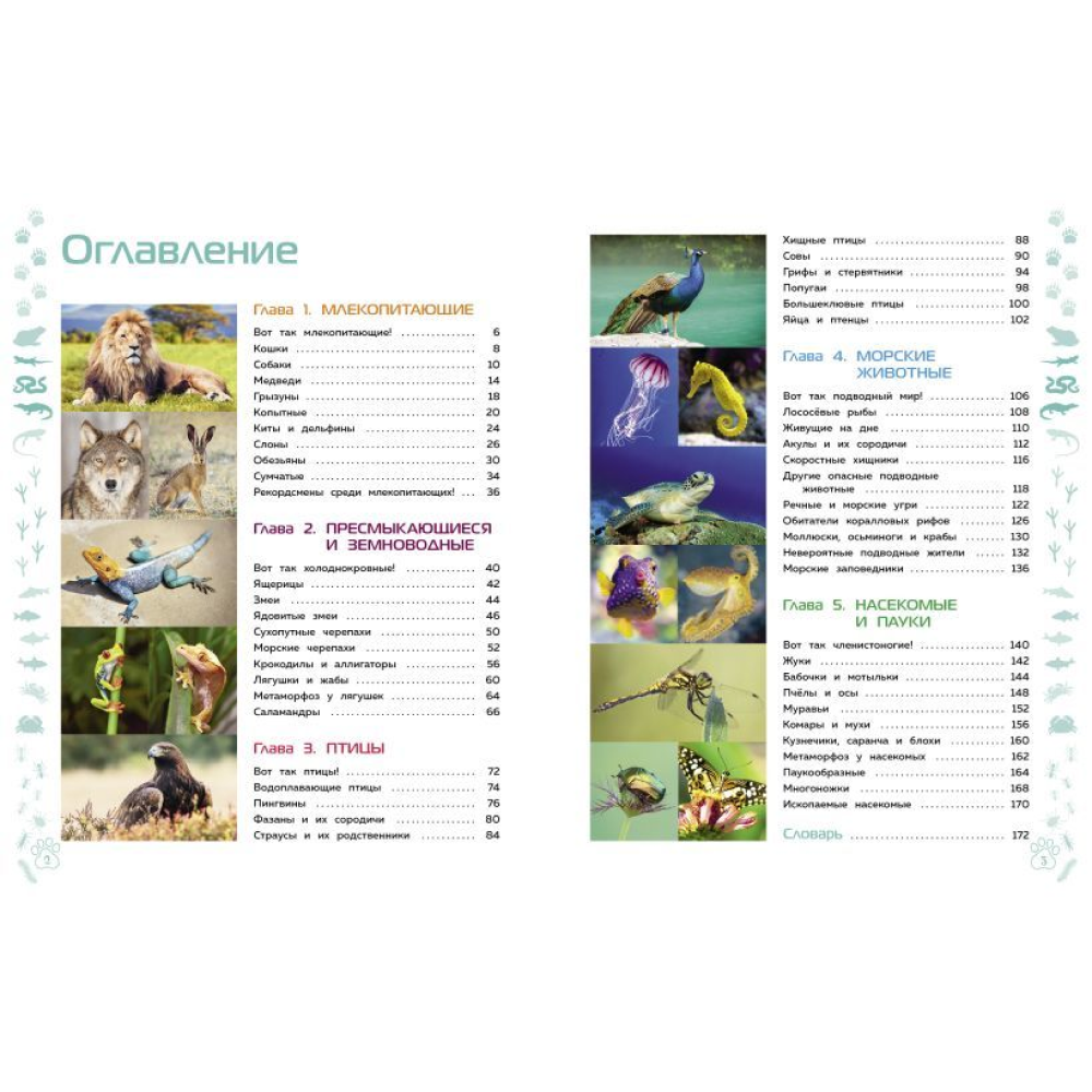Книга "Животные. Большая детская энциклопедия" - 2