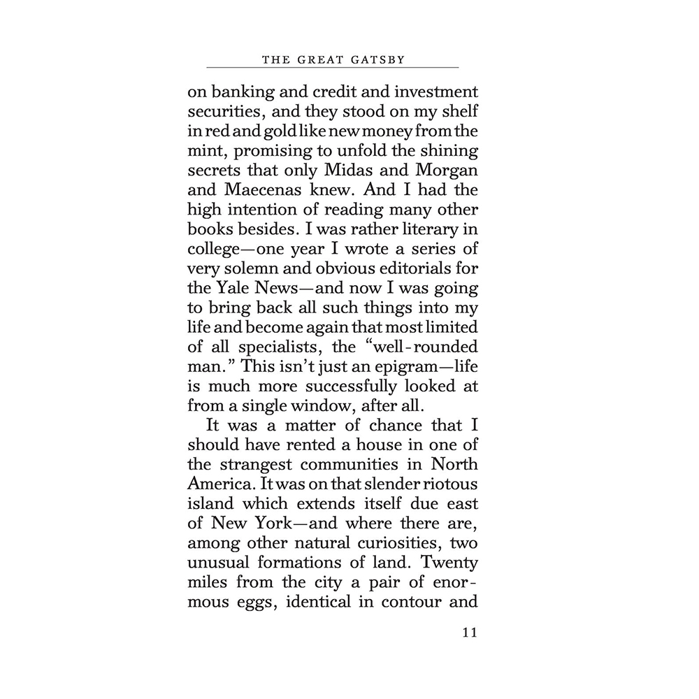 Книга на английском языке "The Great Gatsby", Фрэнсис Скотт Фицджеральд - 9