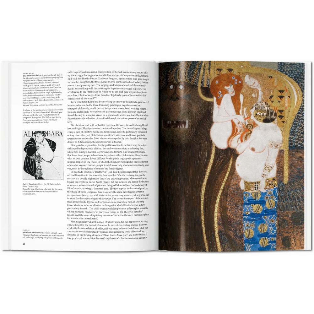 Книга на английском языке "Basic Art. Klimt"  - 4
