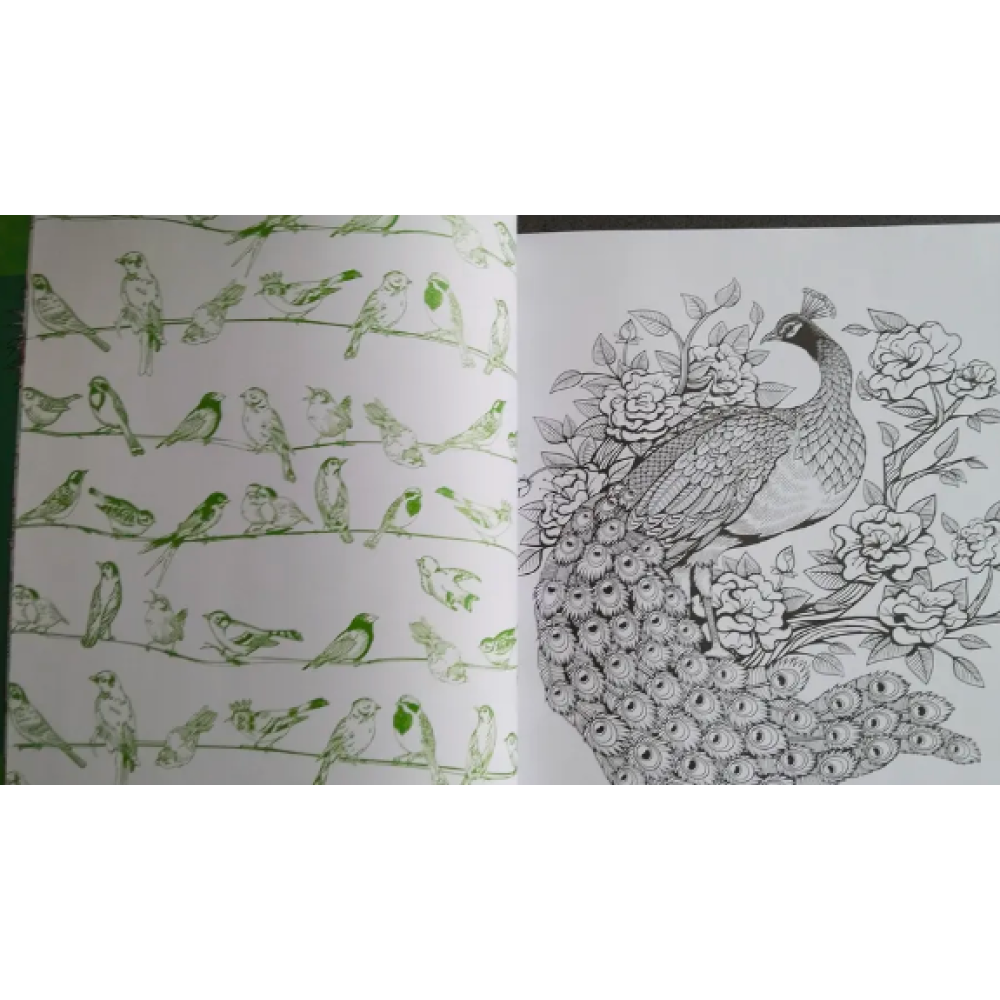 Раскраска на английском языке "Colouring Book. Beautiful Birds" - 3