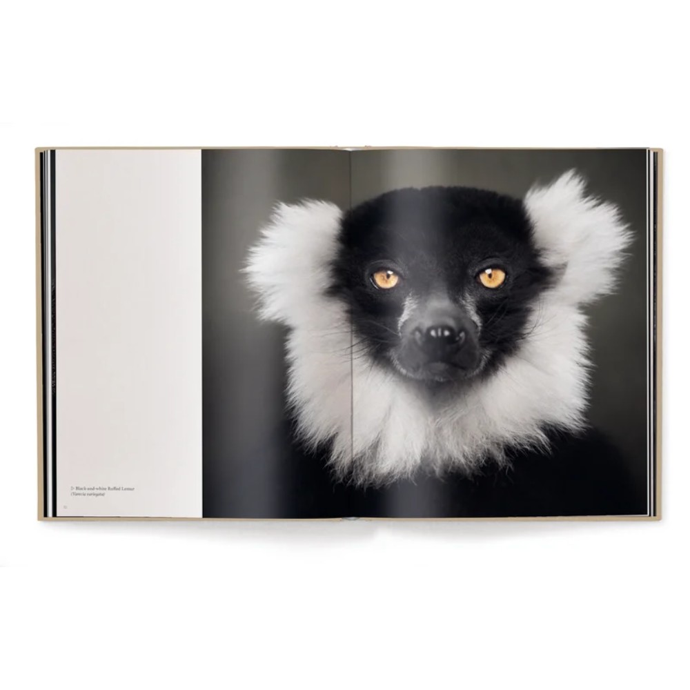 Книга на английском языке "Between Us. Animal Portraits" HB, Vincent Lagrange - 3