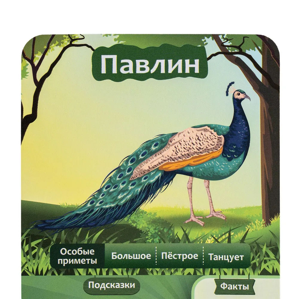 Игра настольная "10 вопросов. Животные" - 2