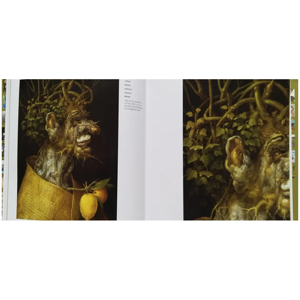 Книга на иностранных языках "Arcimboldo", Armelle Femelat - 5