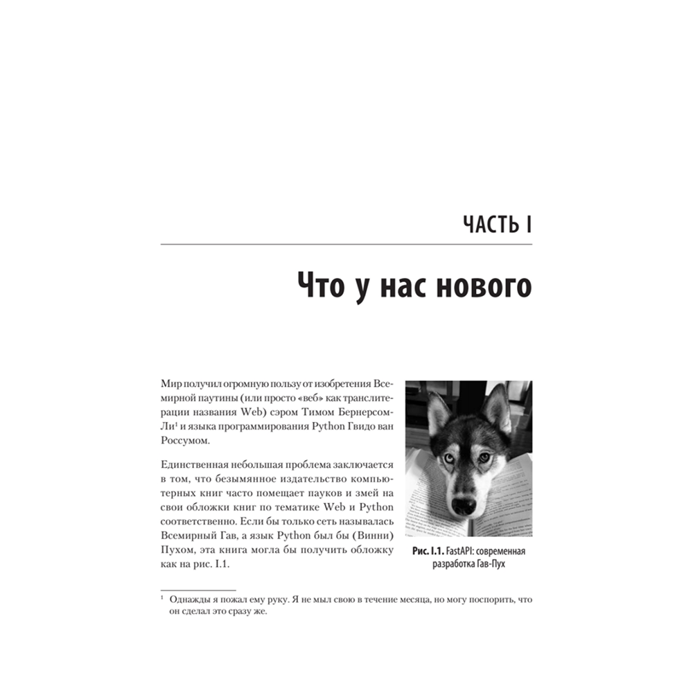 Книга "FastAPI: веб-разработка на Python", Билл Любанович - 10