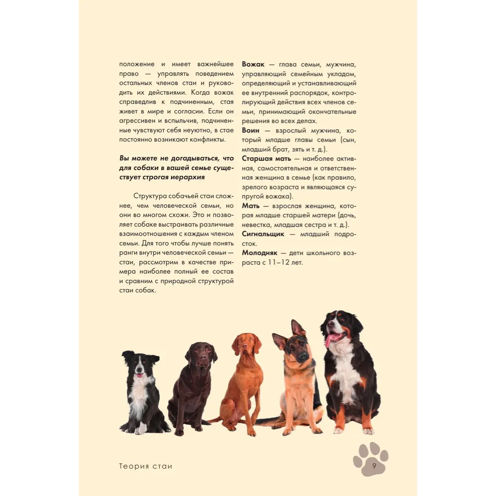 Книга "Дрессировка и воспитание собаки", Андрей Шкляев - 11