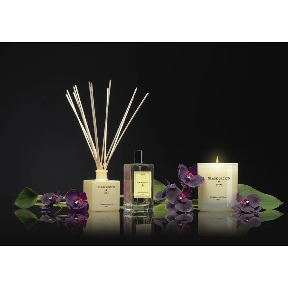Свеча ароматическая CERERIA MOLLA "Black Orchid & Lily", 230 гр., подарочная упаковка - 2