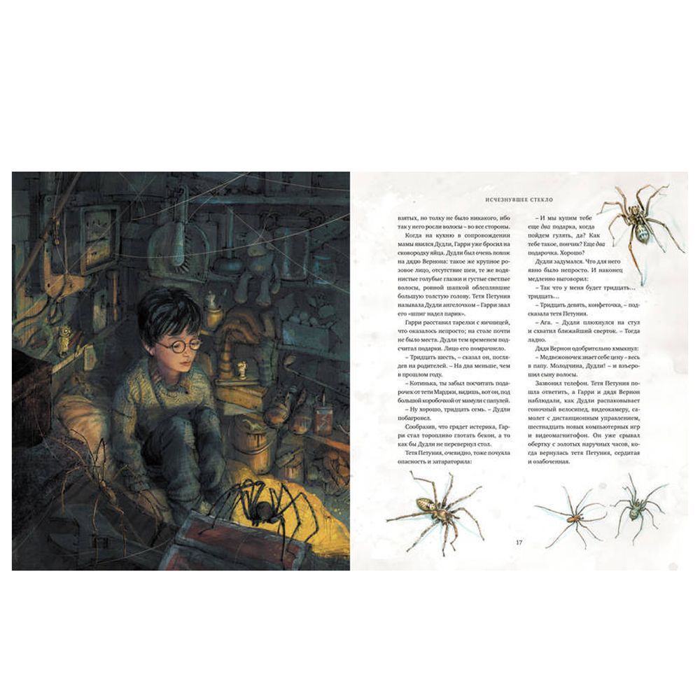 Книга "Гарри Поттер и Философский камень" с цветными иллюстрациями, Роулинг Дж.К - 2