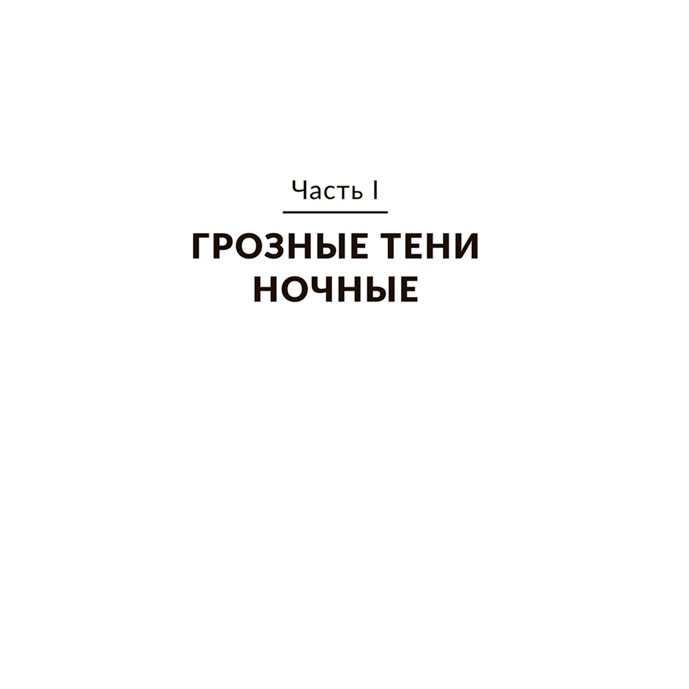 Книга "Чёрный замок Ольшанский", Владимир Короткевич - 5