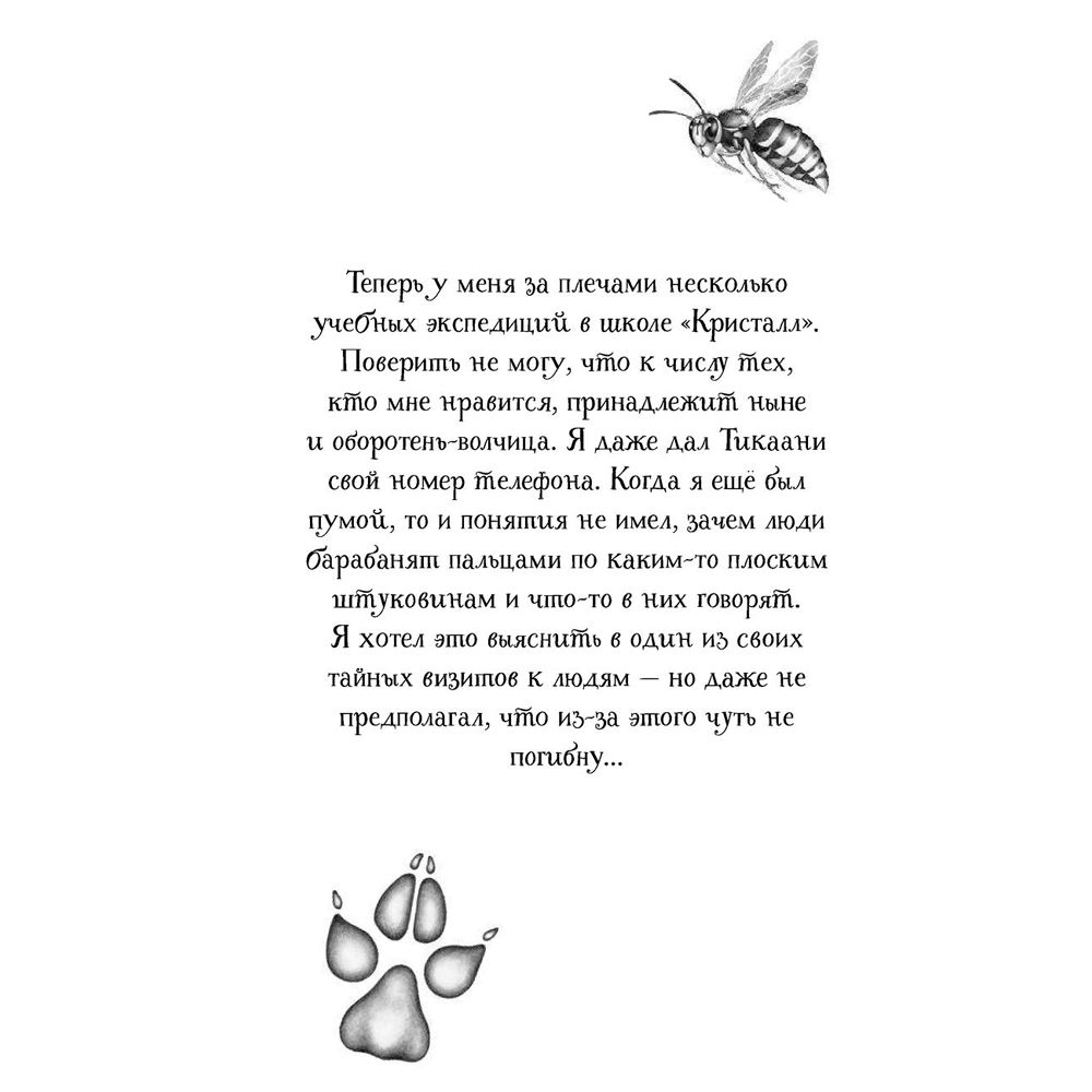 Книга "Тайна Холли (#3)", Катя Брандис - 3