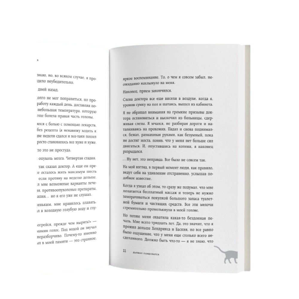 Книга "Если все кошки в мире исчезнут (подарочное издание)", Гэнки Кавамура - 11