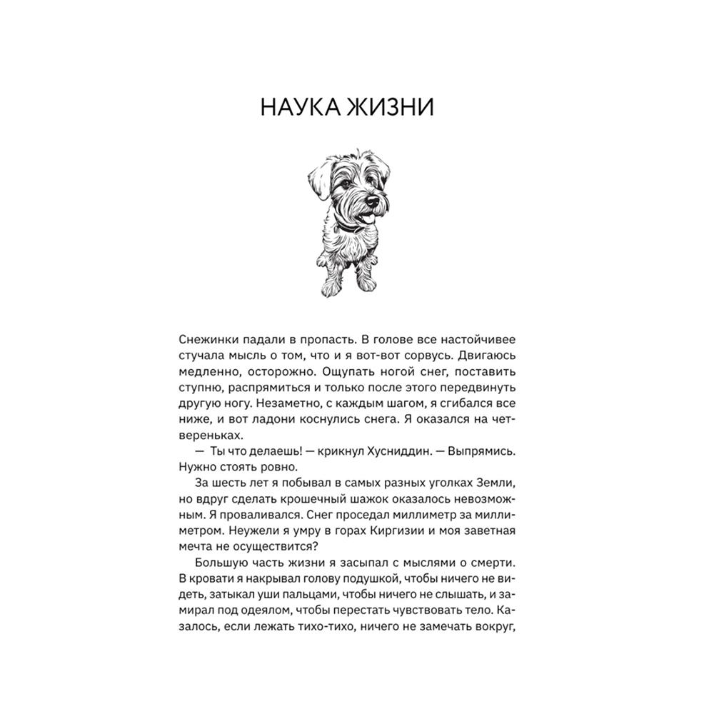 Книга "Большая кругосветная медитация. Шаг за шагом: 7 лет, 6 континентов, 45 000 километров", Том Турчич - 6
