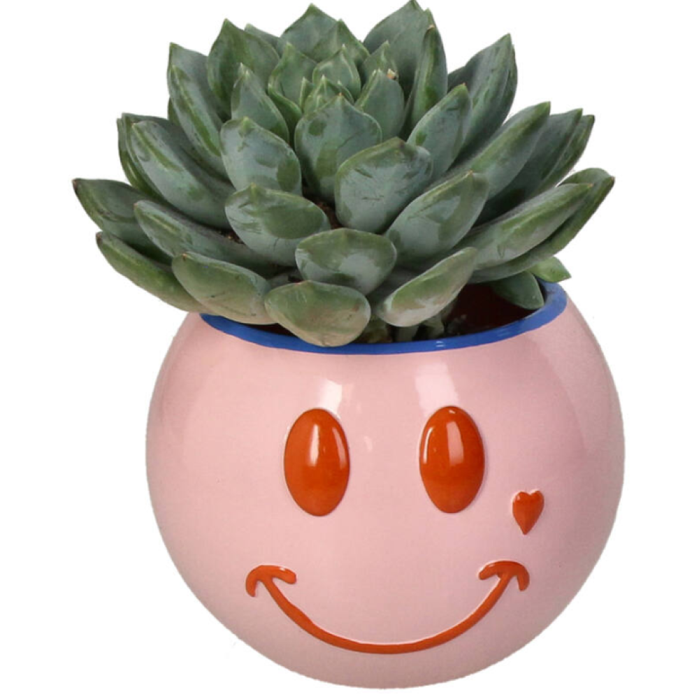 Кашпо "Smiley", полистоун, розовый - 2