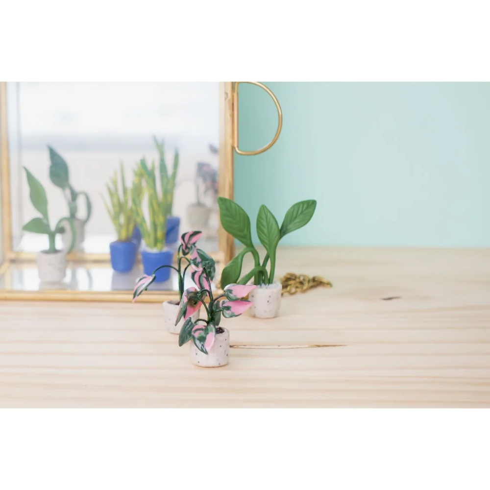 Полимерная глина "Cernit. Starter kit, tiny plants", набор - 3