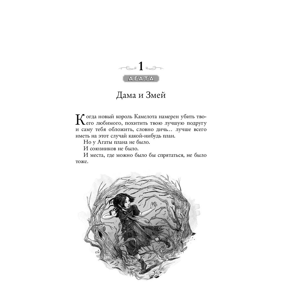 Книга "Школа Добра и Зла. Кристалл времени (#5)", Соман Чайнани - 7