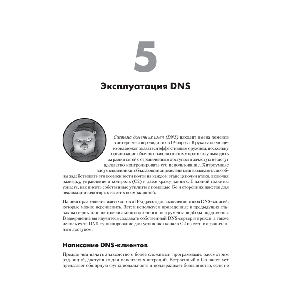 Книга "Black Hat Go: Программирование для хакеров и пентестеров", Том Стил, Крис Паттен, Дэн Коттманн - 10