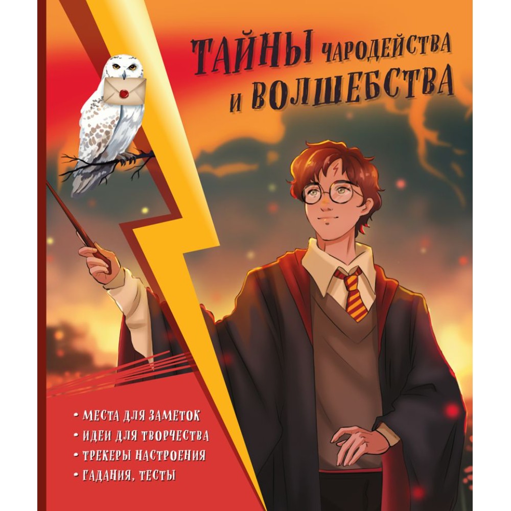 Книга "Тайны чародейства и волшебства. Книга творчества и вдохновения (Гарри)"