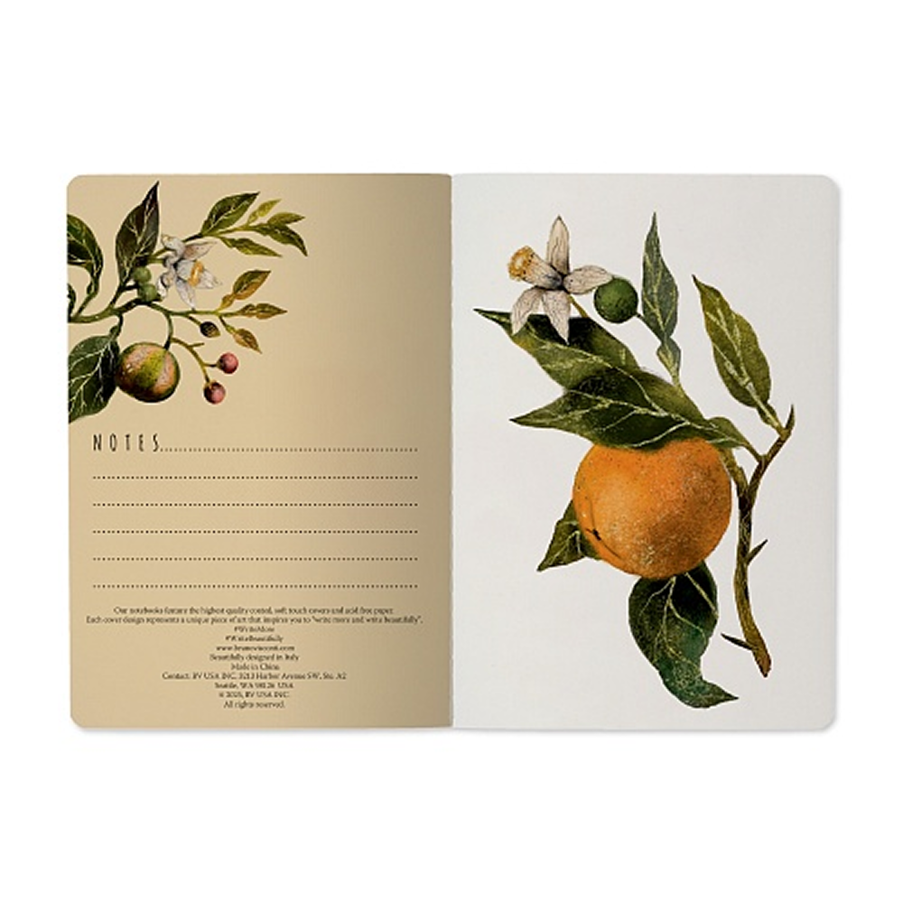 Тетрадь "Flora. Paradise. Oranges", A5, 40 листов, линейка, зеленый, оранжевый - 4