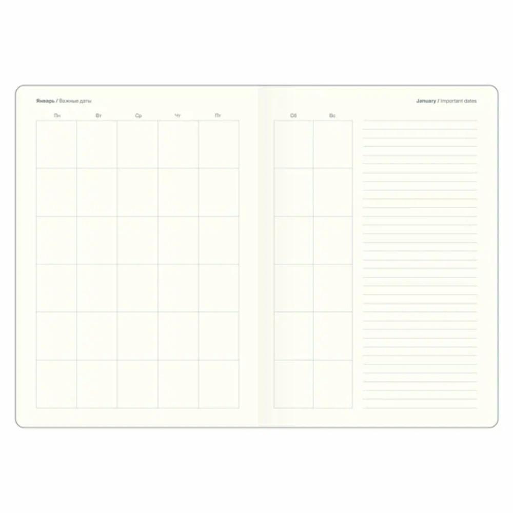 Ежедневник недатированный InFolio "June", А5, 320 страниц, розовый  - 4