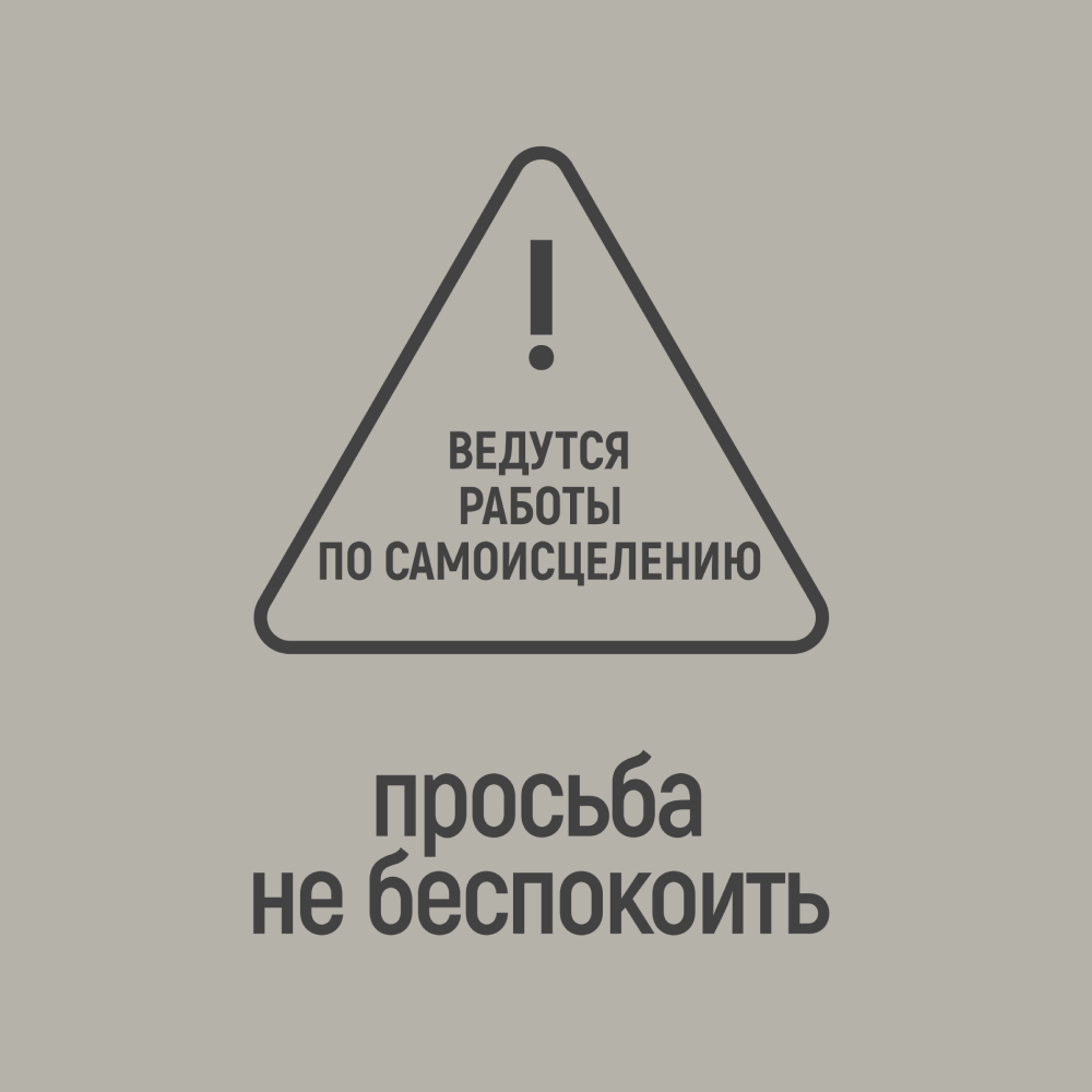 Фляжка "Просьба не беспокоить", 235 мл, серебристый - 2