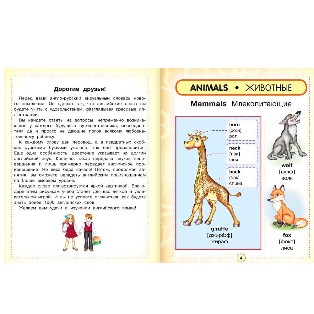Книга "Англо-русский визуальный словарь для детей" - 3