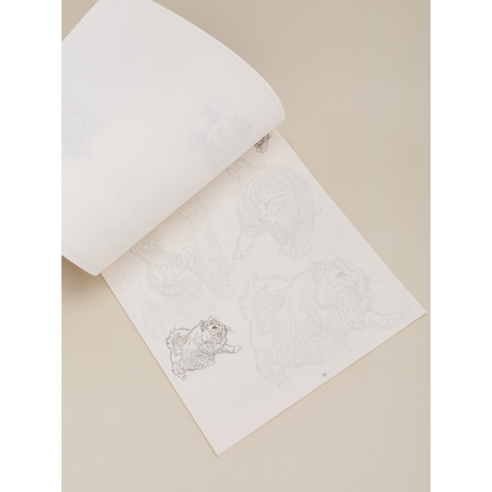 Книга "Альбом-пособие по рисованию. Фауна" - 2