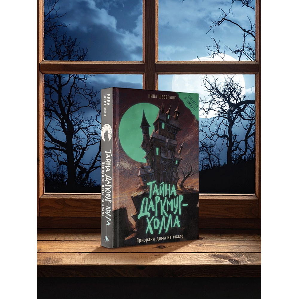 Книга "Тайна Даркмур-Холла. Призраки дома на скале", Нина Шевелинг - 2