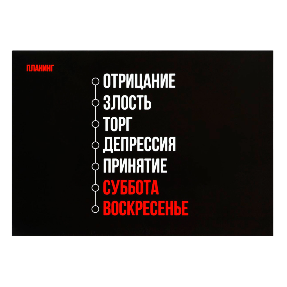 Планинг недатированный "Черный", А5, 40 листов, отрывные листы