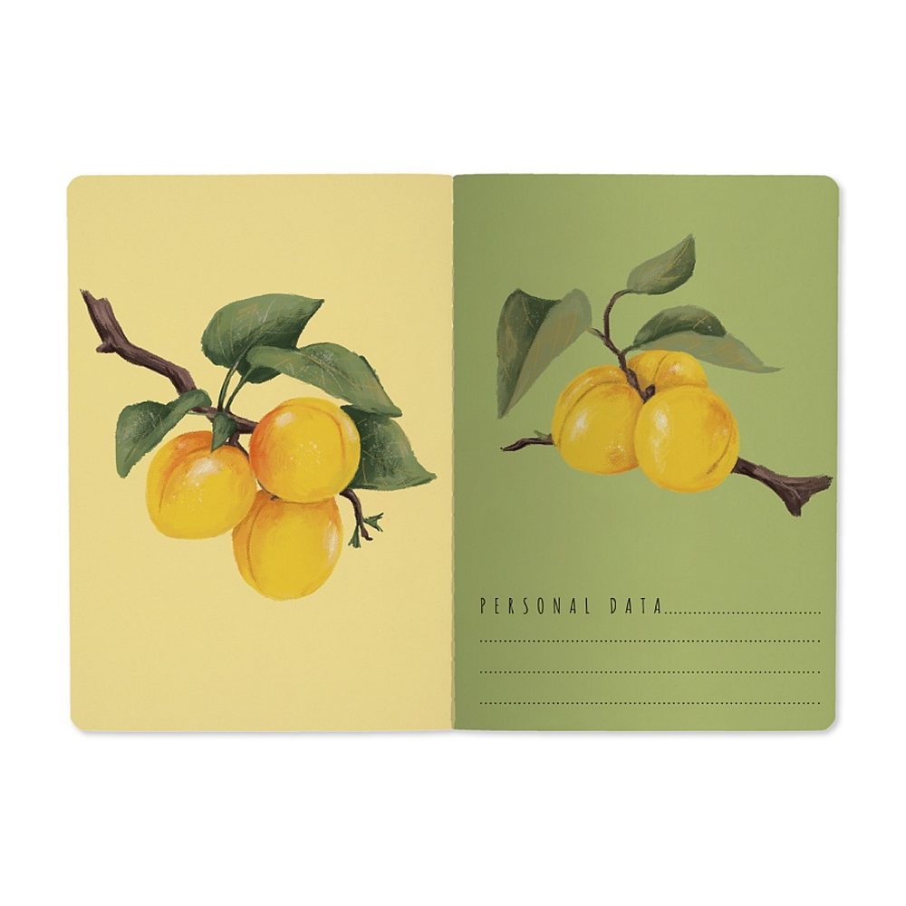 Тетрадь "Flora. Paradise. Абрикосы", A5, 40 листов, клетка, белый, желтый - 3