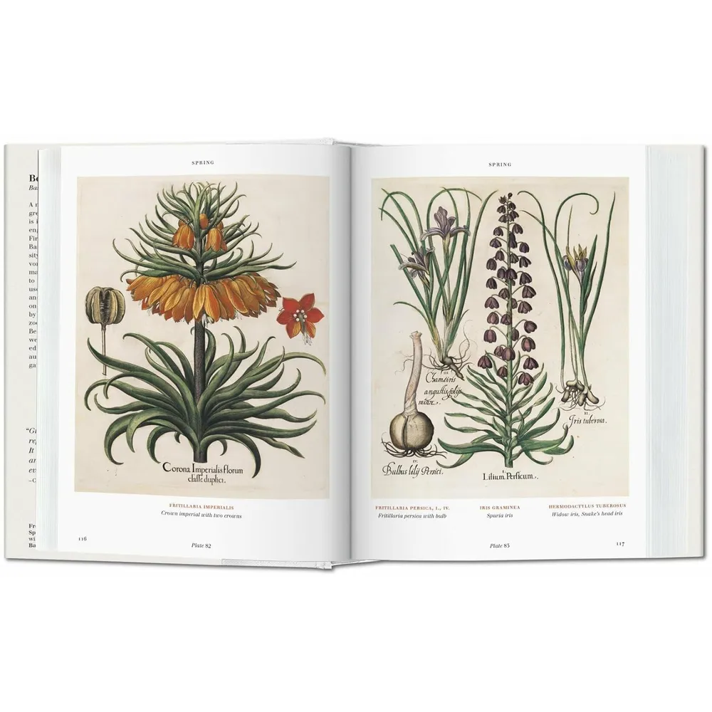 Книга на английском языке  "Florilegium. The Book of Plants. Garden at Eichstatt"  - 5