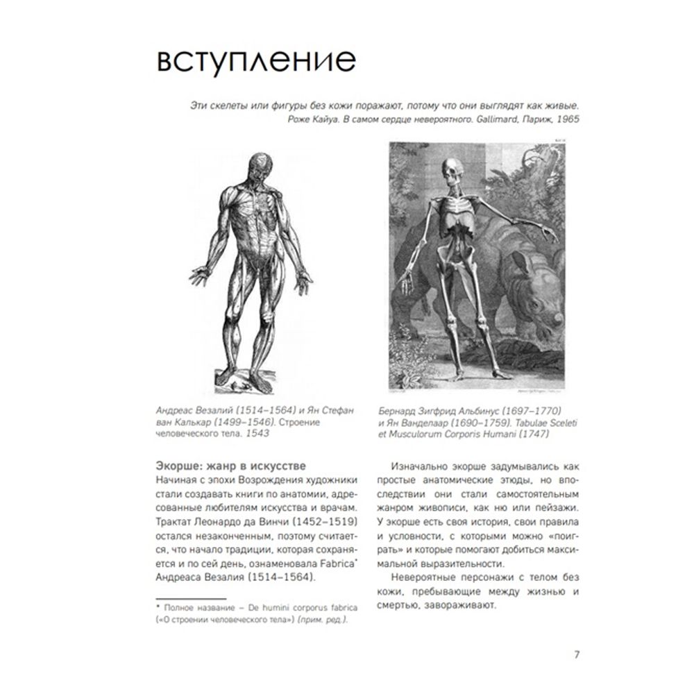 Книга "МОРФО. Анатомия для художников", Мишель Лауричелла - 2