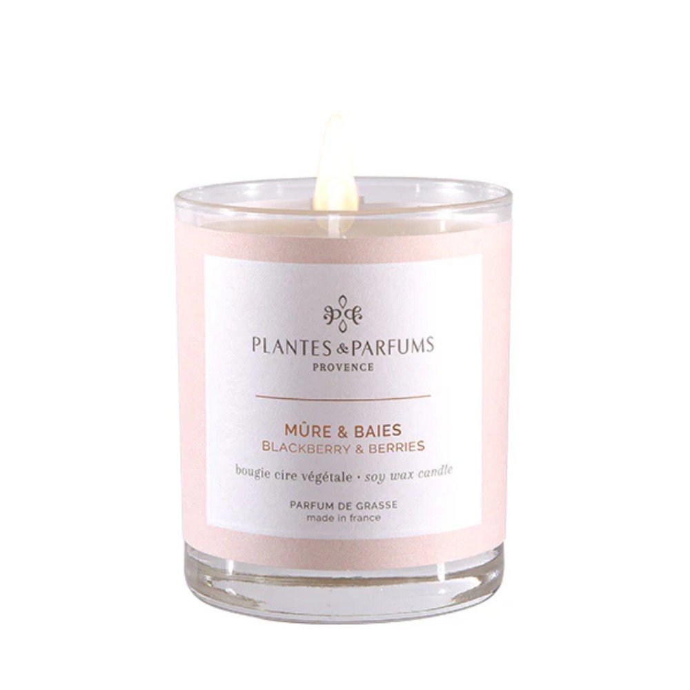 Свеча ароматическая PLANTS&PARFUMS "Blackberry & Berries", 180 гр. 