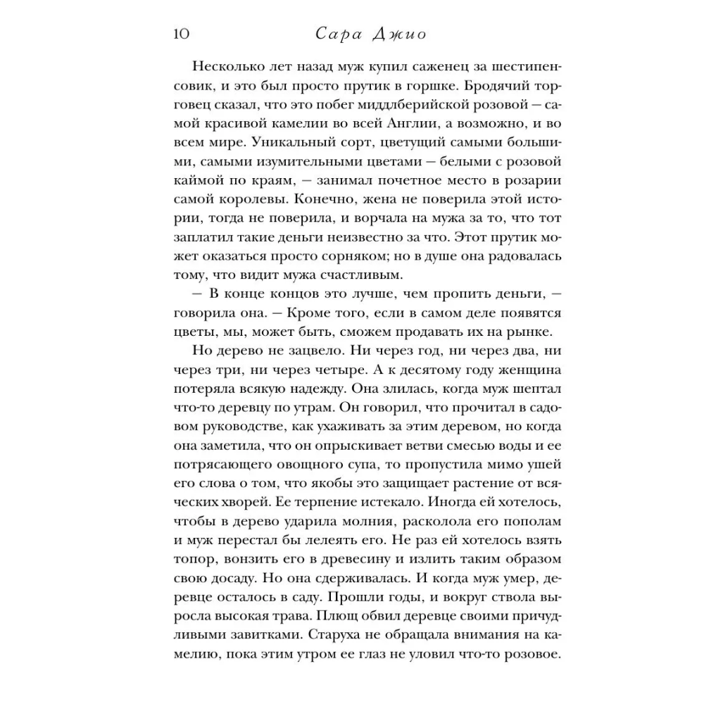 Книга "Последняя камелия", Сара Джио - 7