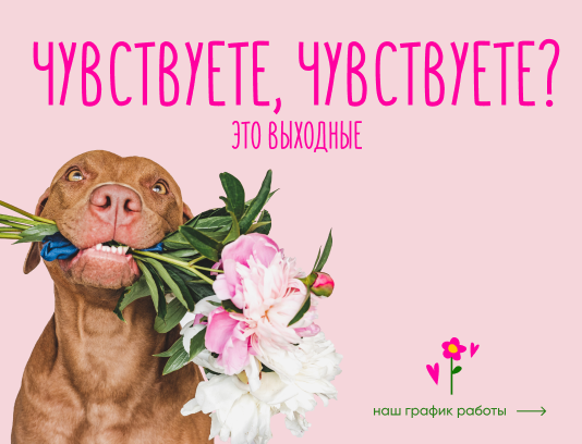 График работы в праздничные дни