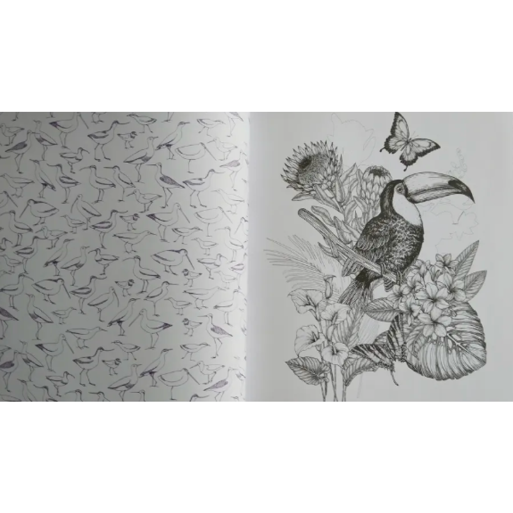 Раскраска на английском языке "Colouring Book. Beautiful Birds" - 2